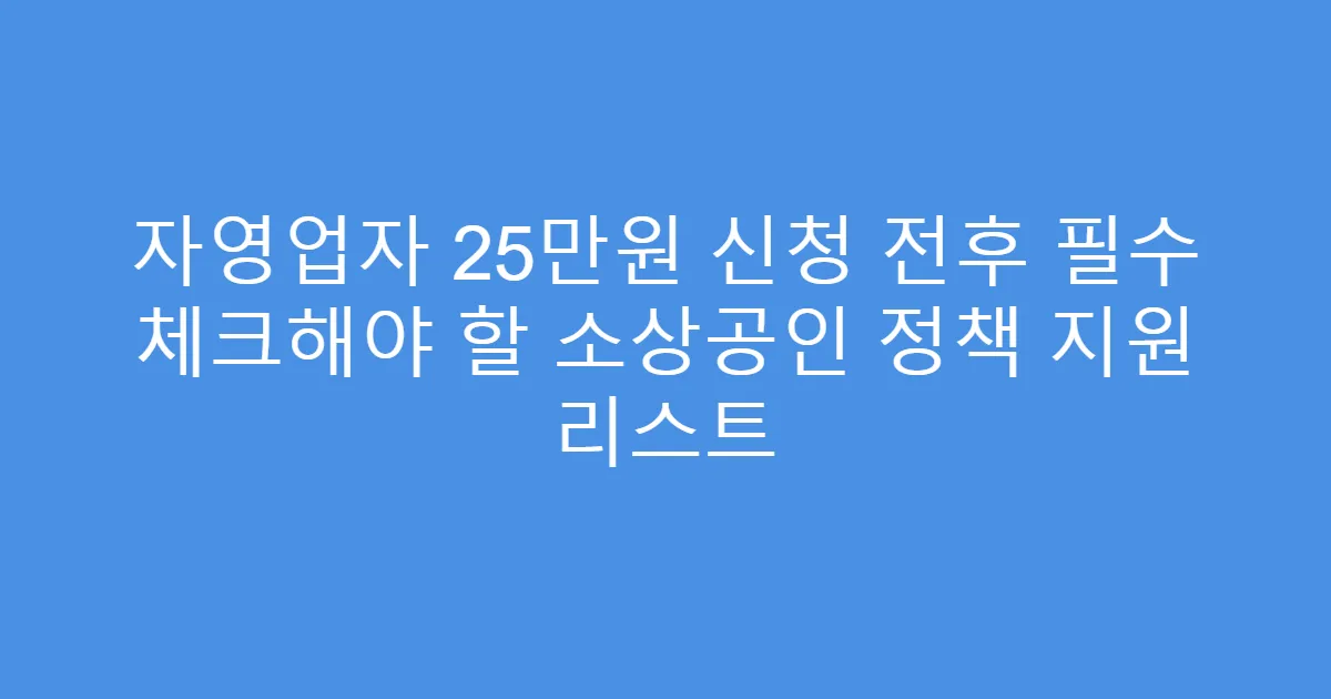자영업자 25만원 신청 전후 필수 체크해야 할 소상공인 정책 지원 리스트