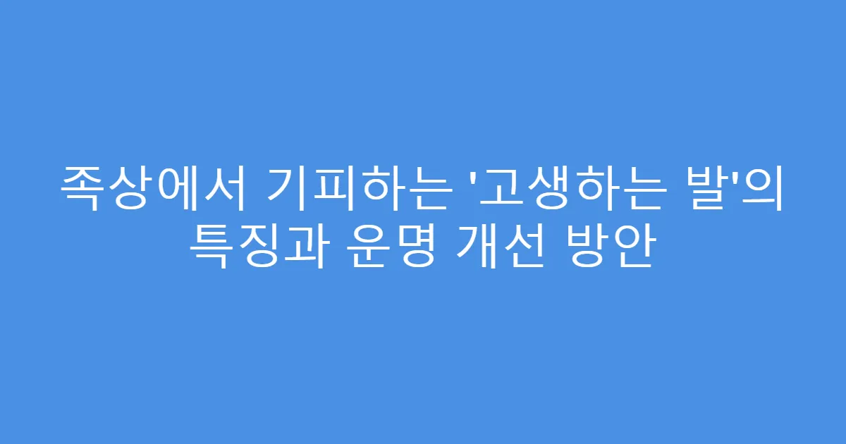 족상에서 기피하는 ‘고생하는 발’의 특징과 운명 개선 방안