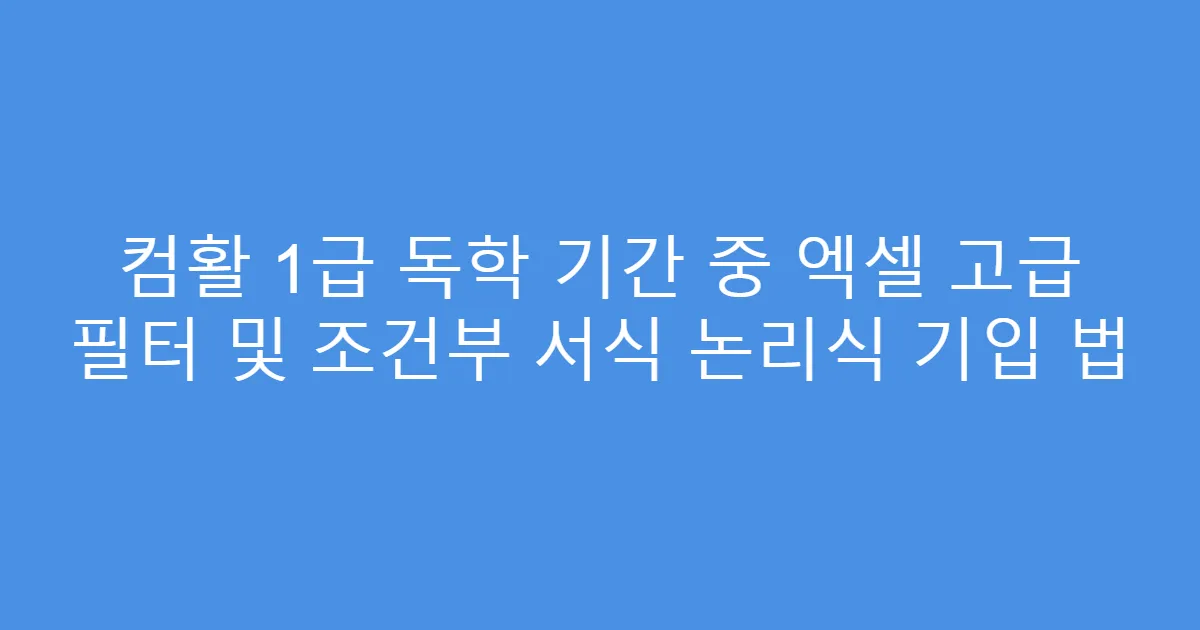 컴활 1급 독학 기간 중 엑셀 고급 필터 및 조건부 서식 논리식 기입 법