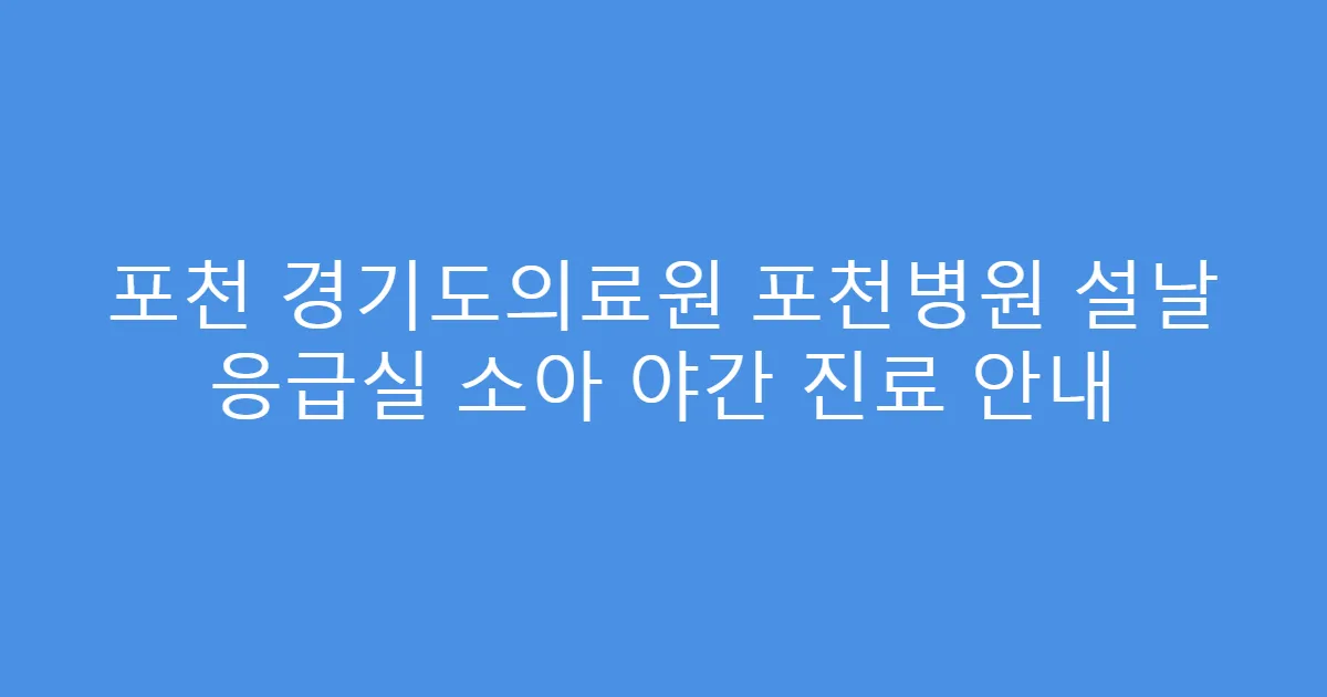 포천 경기도의료원 포천병원 설날 응급실 소아 야간 진료 안내