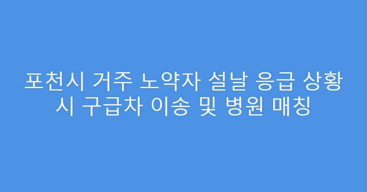 포천시 거주 노약자 설날 응급 상황 시 구급차 이송 및 병원 매칭