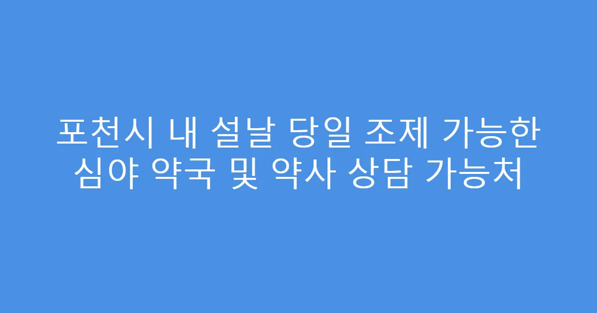 포천시 내 설날 당일 조제 가능한 심야 약국 및 약사 상담 가능처