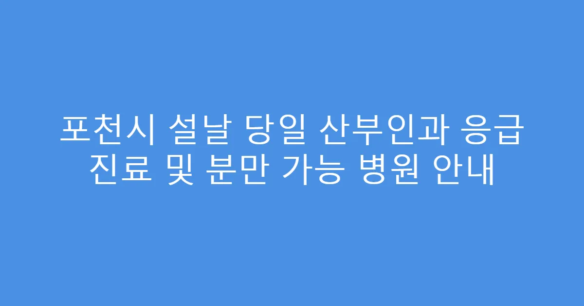 포천시 설날 당일 산부인과 응급 진료 및 분만 가능 병원 안내