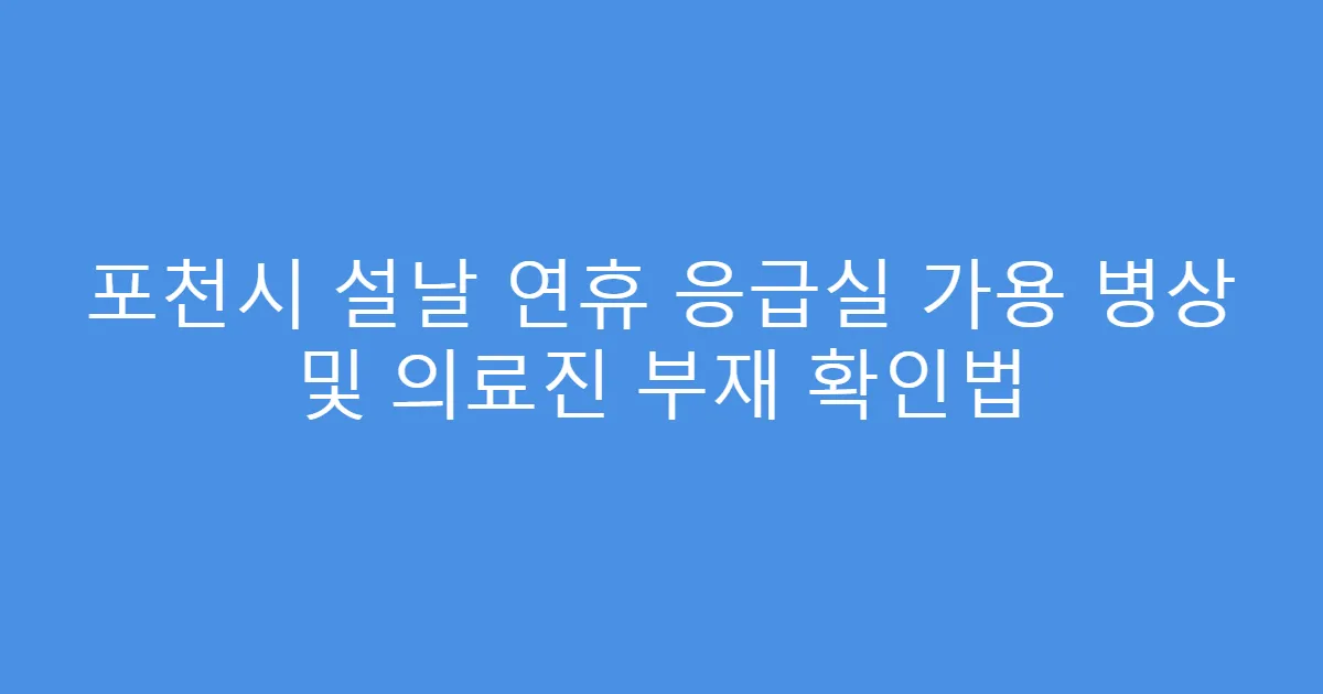 포천시 설날 연휴 응급실 가용 병상 및 의료진 부재 확인법
