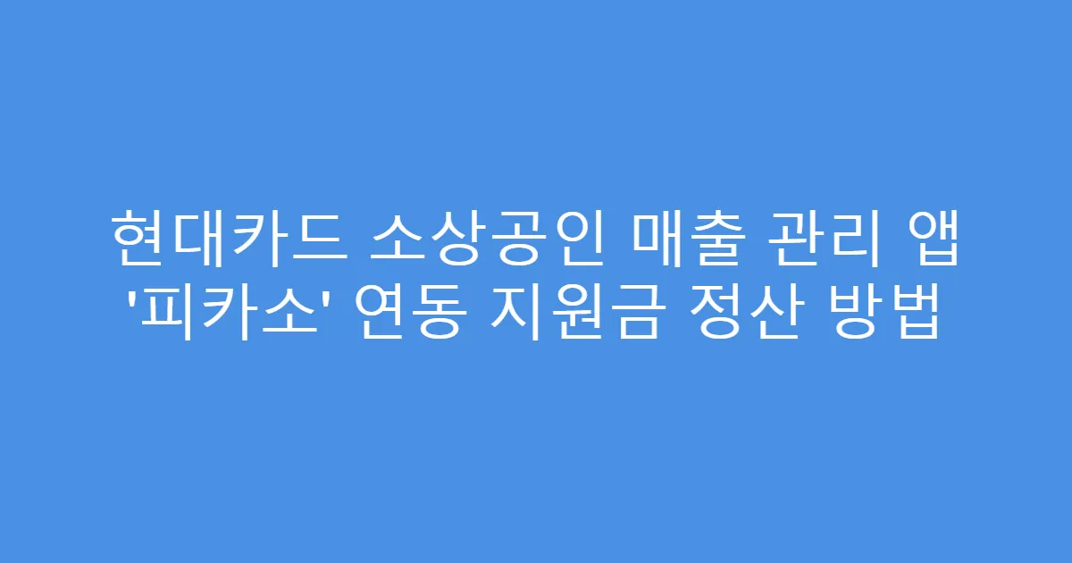 현대카드 소상공인 매출 관리 앱 ‘피카소’ 연동 지원금 정산 방법