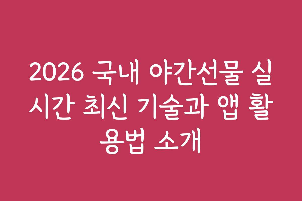 2026 국내 야간선물 실시간 최신 기술과 앱 활용법 소개