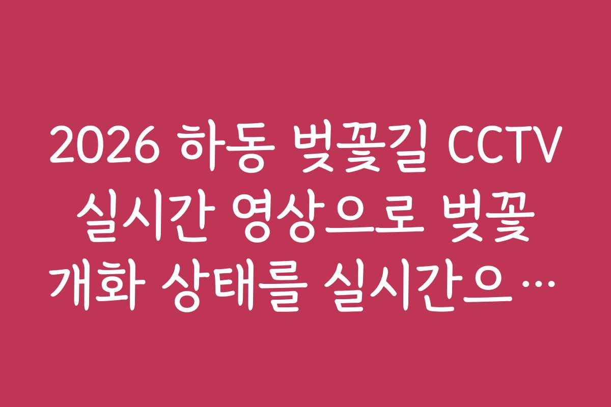 2026 하동 벚꽃길 CCTV 실시간 영상으로 벚꽃 개화 상태를 실시간으로 확인하는 방법