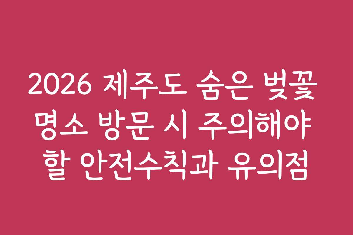 2026 제주도 숨은 벚꽃 명소 방문 시 주의해야 할 안전수칙과 유의점