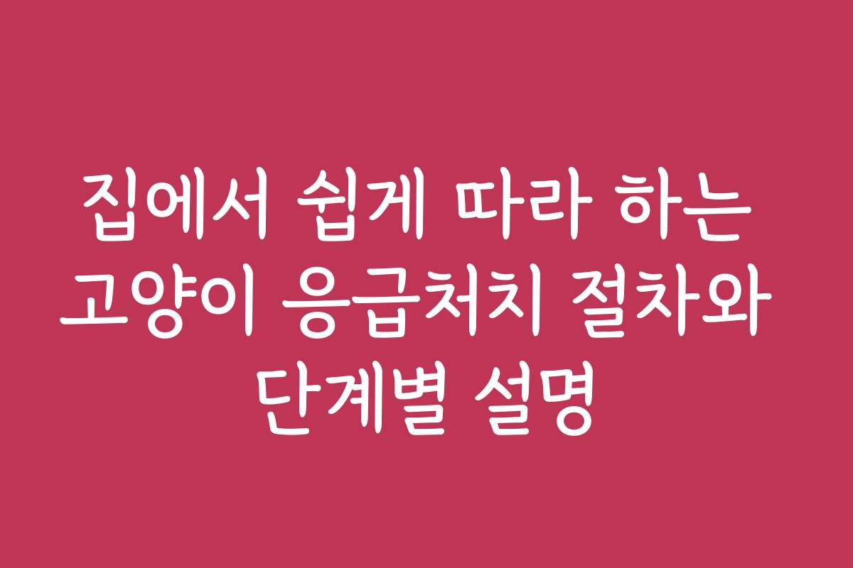 집에서 쉽게 따라 하는 고양이 응급처치 절차와 단계별 설명