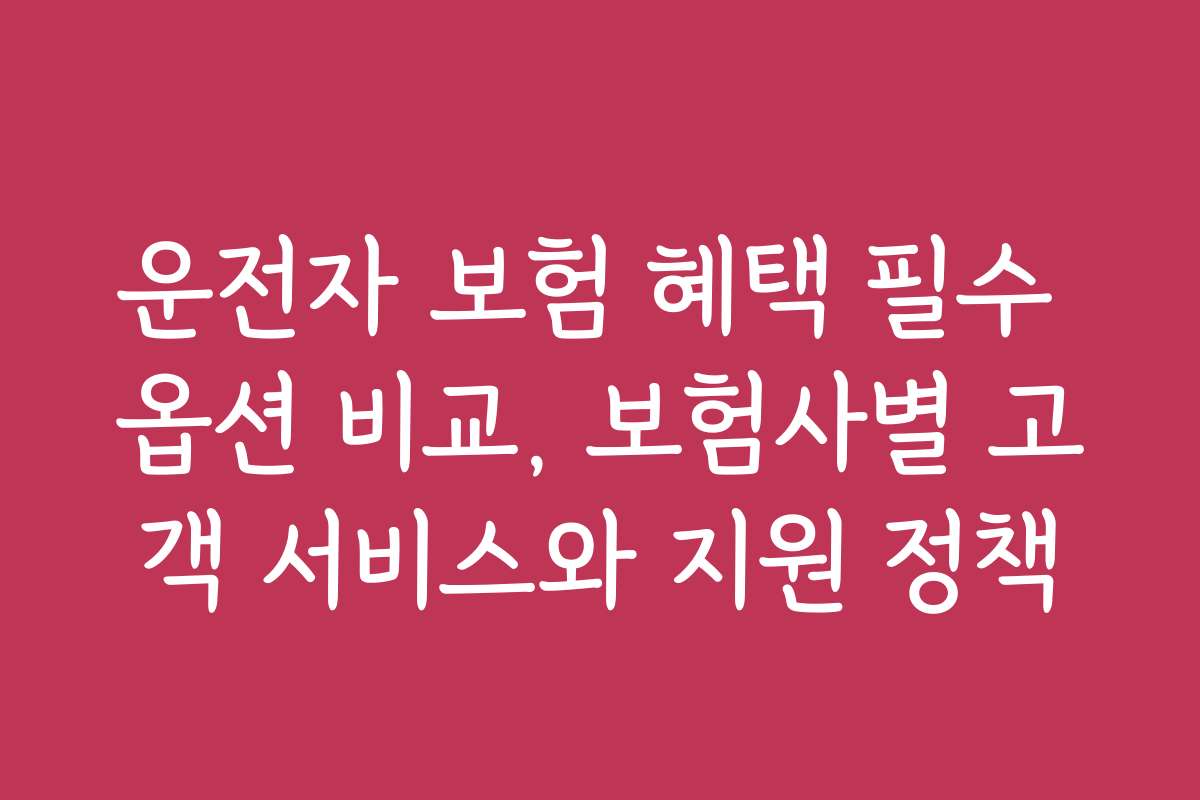운전자 보험 혜택 필수 옵션 비교, 보험사별 고객 서비스와 지원 정책