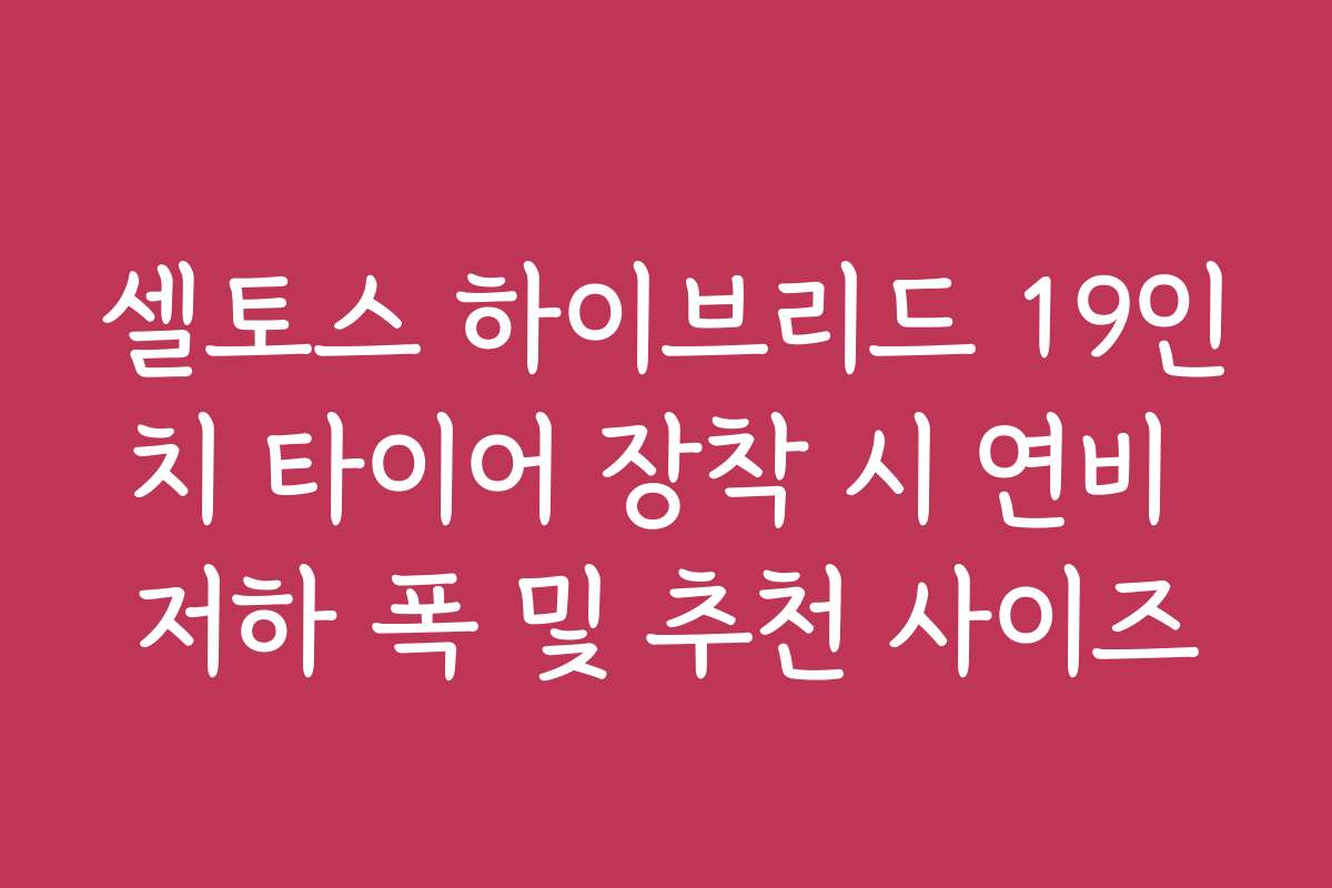 셀토스 하이브리드 19인치 타이어 장착 시 연비 저하 폭 및 추천 사이즈