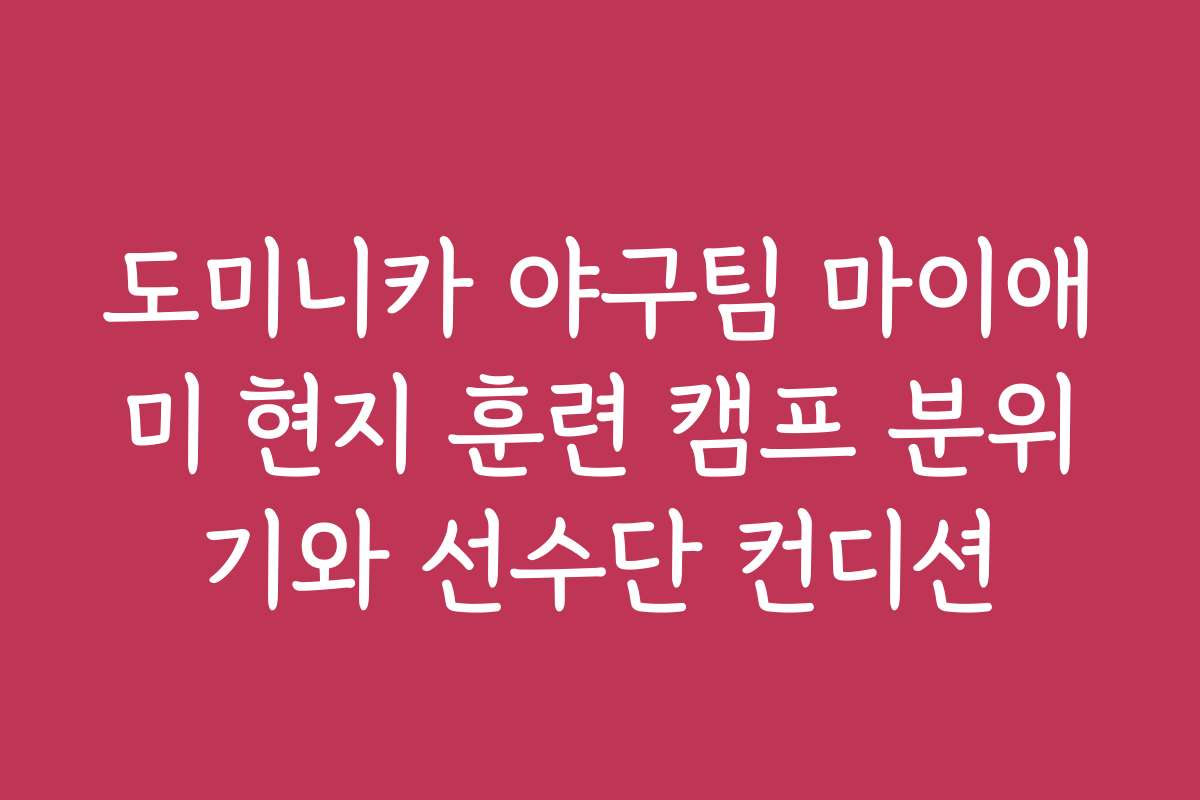 도미니카 야구팀 마이애미 현지 훈련 캠프 분위기와 선수단 컨디션