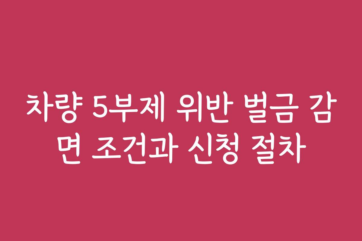 차량 5부제 위반 벌금 감면 조건과 신청 절차