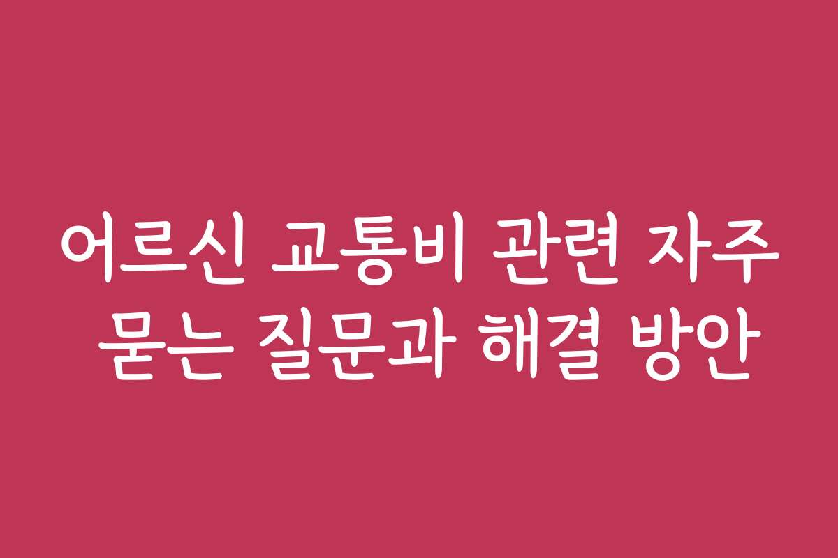 어르신 교통비 관련 자주 묻는 질문과 해결 방안