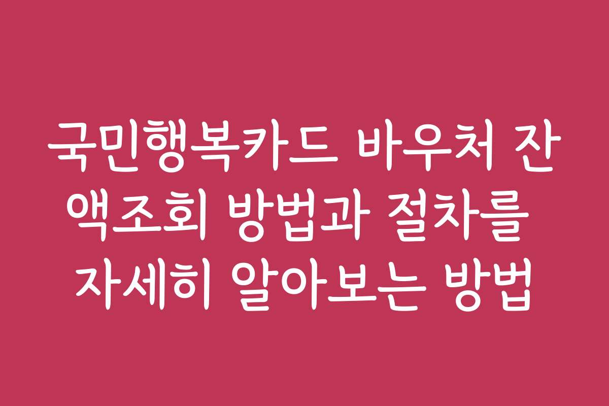 국민행복카드 바우처 잔액조회 방법과 절차를 자세히 알아보는 방법