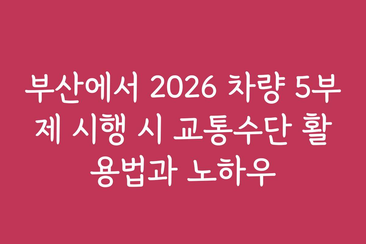 부산에서 2026 차량 5부제 시행 시 교통수단 활용법과 노하우