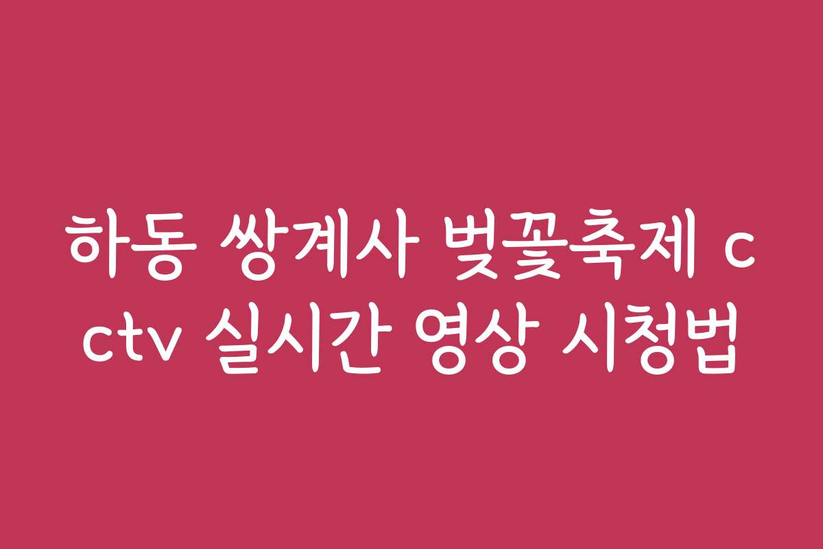 하동 쌍계사 벚꽃축제 cctv 실시간 영상 시청법