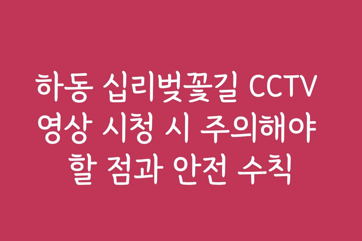 하동 십리벚꽃길 CCTV 영상 시청 시 주의해야 할 점과 안전 수칙