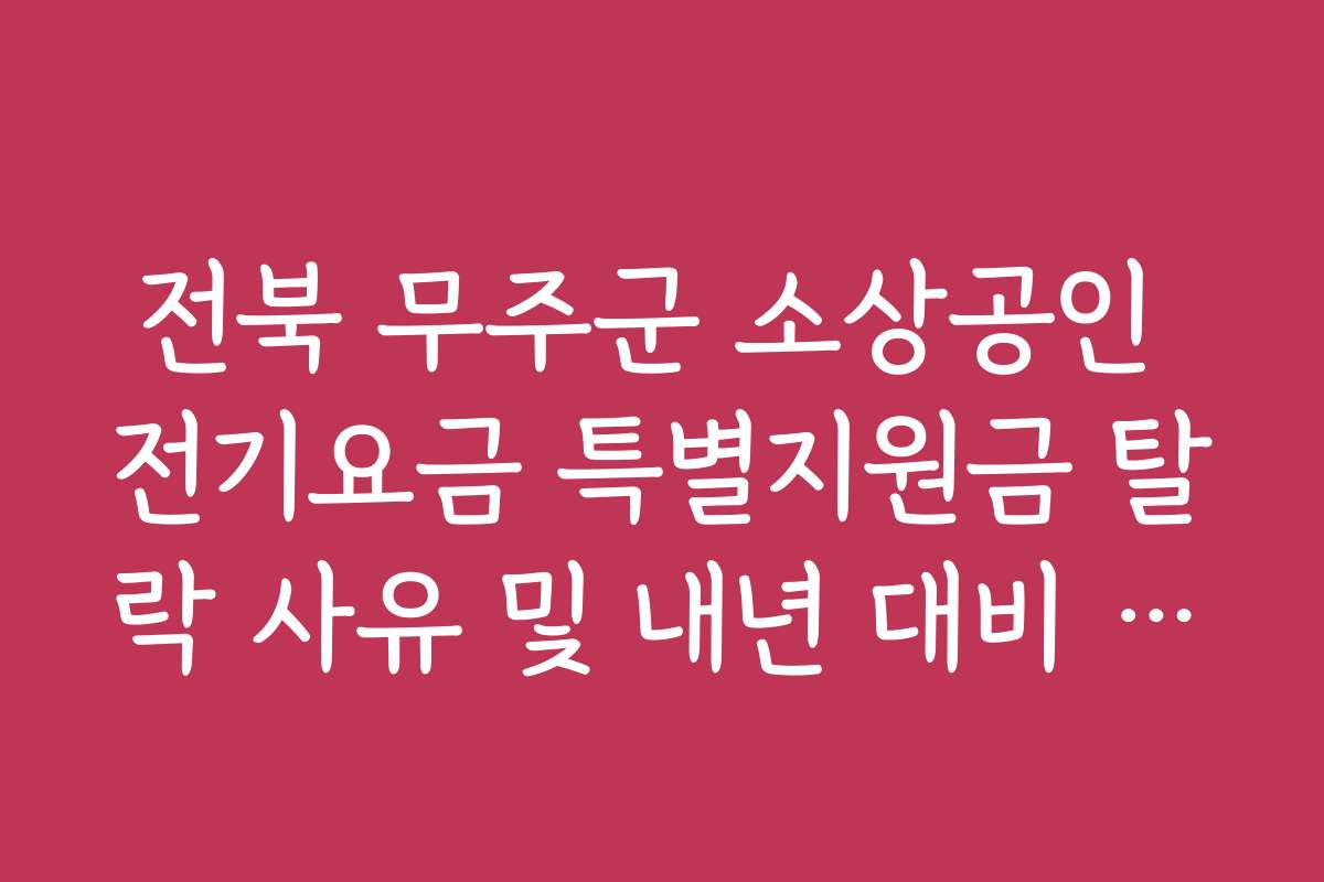 전북 무주군 소상공인 전기요금 특별지원금 탈락 사유 및 내년 대비 전략