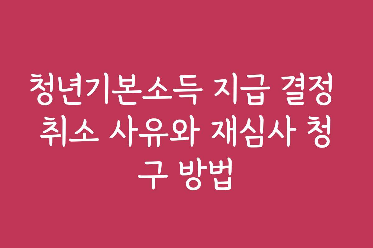 청년기본소득 지급 결정 취소 사유와 재심사 청구 방법