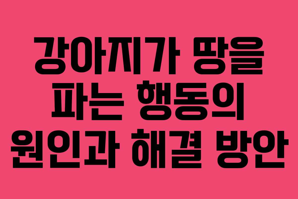 강아지가 땅을 파는 행동의 원인과 해결 방안