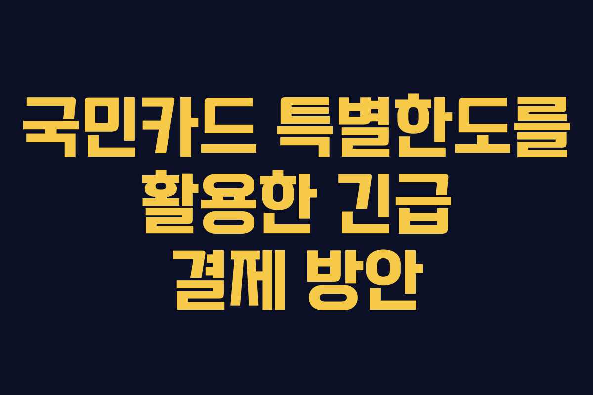 국민카드 특별한도를 활용한 긴급 결제 방안