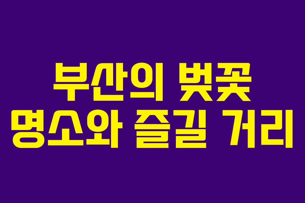 부산의 벚꽃 명소와 즐길 거리