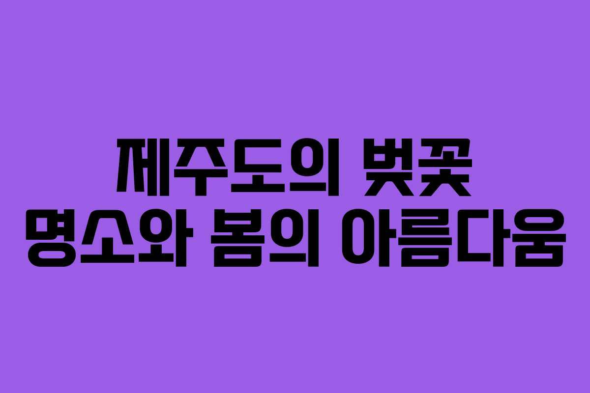 제주도의 벚꽃 명소와 봄의 아름다움