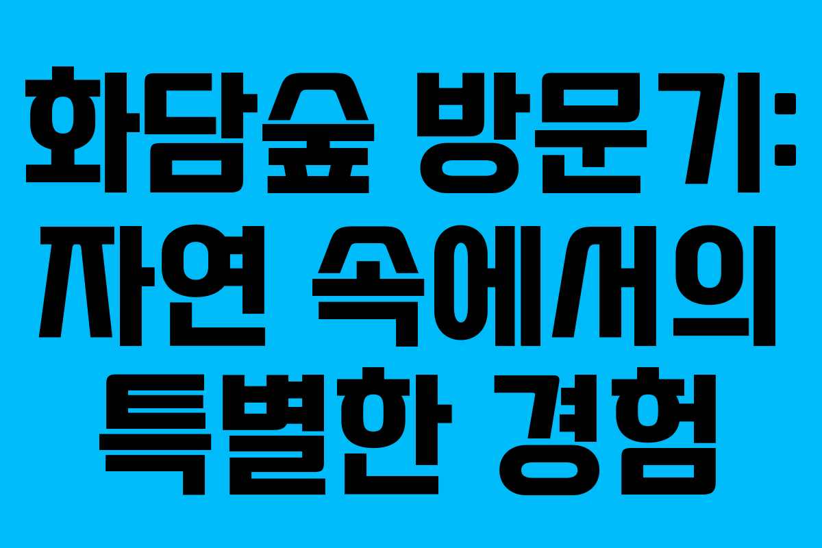 화담숲 방문기: 자연 속에서의 특별한 경험