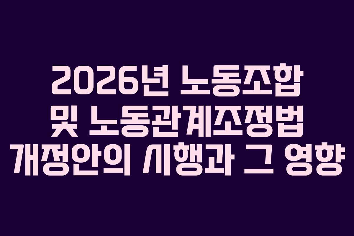 2026년 노동조합 및 노동관계조정법 개정안의 시행과 그 영향