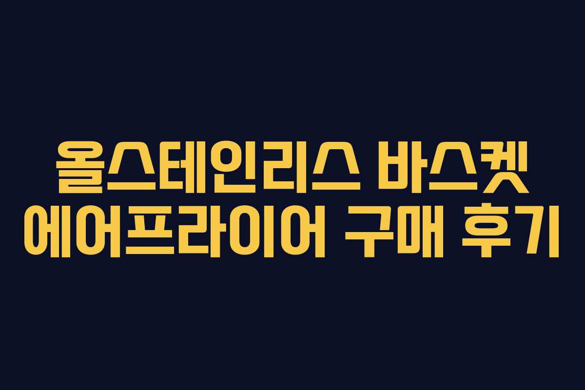 올스테인리스 바스켓 에어프라이어 구매 후기