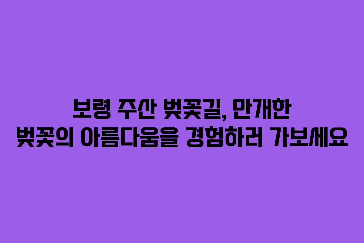 보령 주산 벚꽃길, 만개한 벚꽃의 아름다움을 경험하러 가보세요