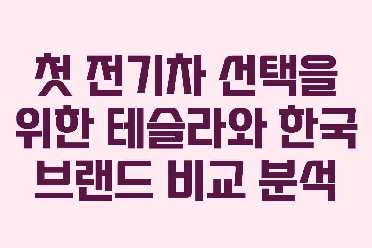 첫 전기차 선택을 위한 테슬라와 한국 브랜드 비교 분석