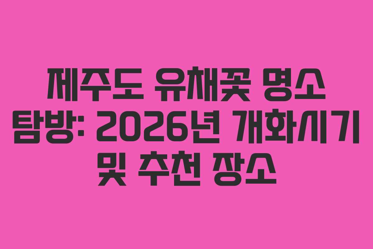 제주도 유채꽃 명소 탐방: 2026년 개화시기 및 추천 장소