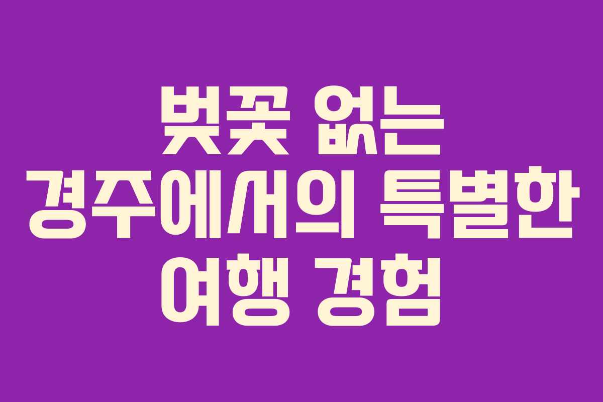 벚꽃 없는 경주에서의 특별한 여행 경험