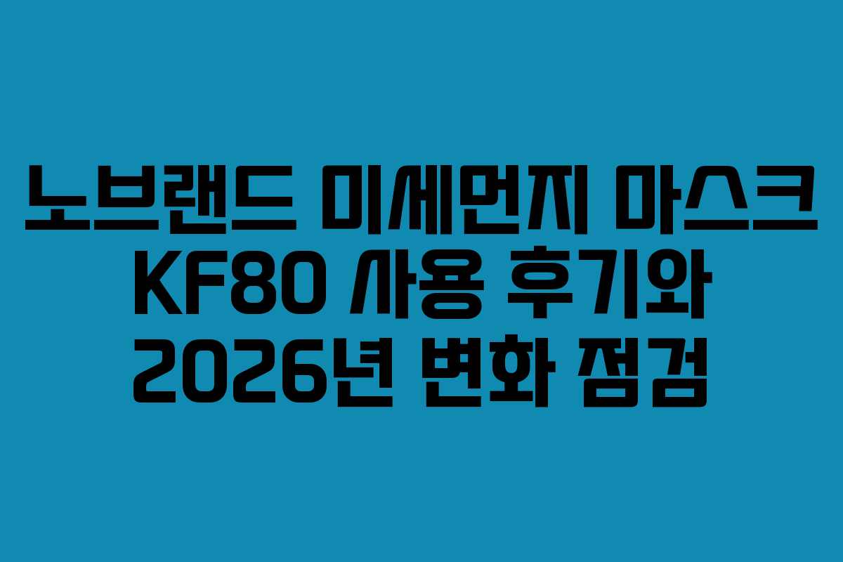 노브랜드 미세먼지 마스크 KF80 사용 후기와 2026년 변화 점검