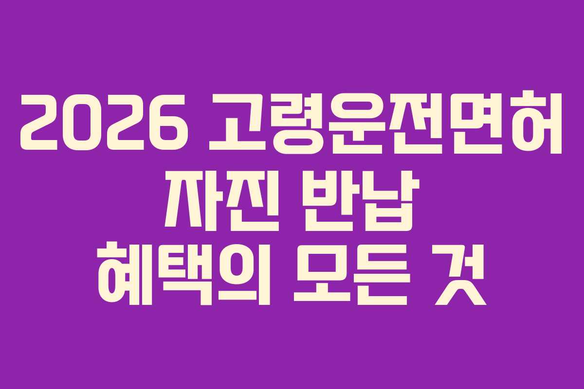 2026 고령운전면허 자진 반납 혜택의 모든 것