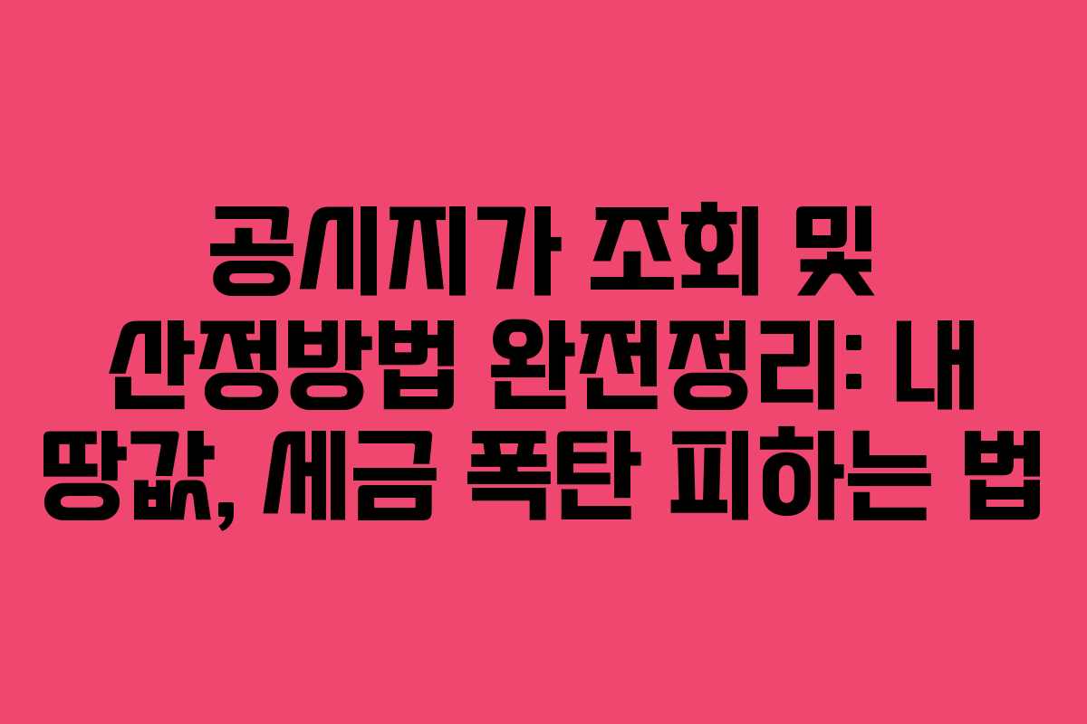 공시지가 조회 및 산정방법 완전정리: 내 땅값, 세금 폭탄 피하는 법