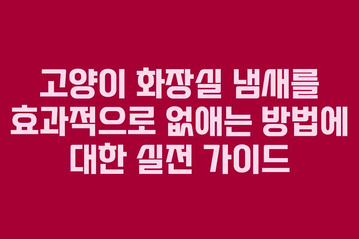 고양이 화장실 냄새를 효과적으로 없애는 방법에 대한 실전 가이드