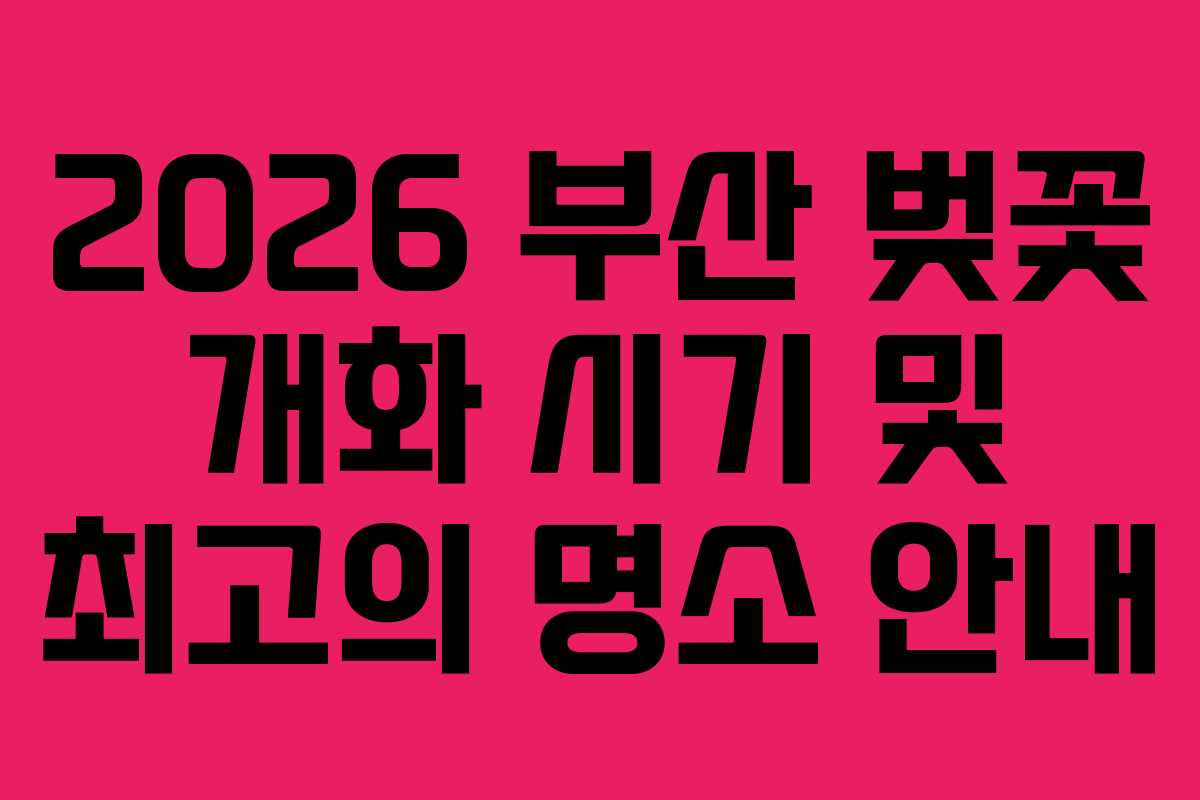 2026 부산 벚꽃 개화 시기 및 최고의 명소 안내
