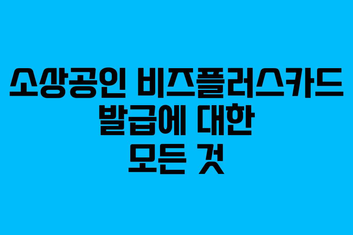 소상공인 비즈플러스카드 발급에 대한 모든 것