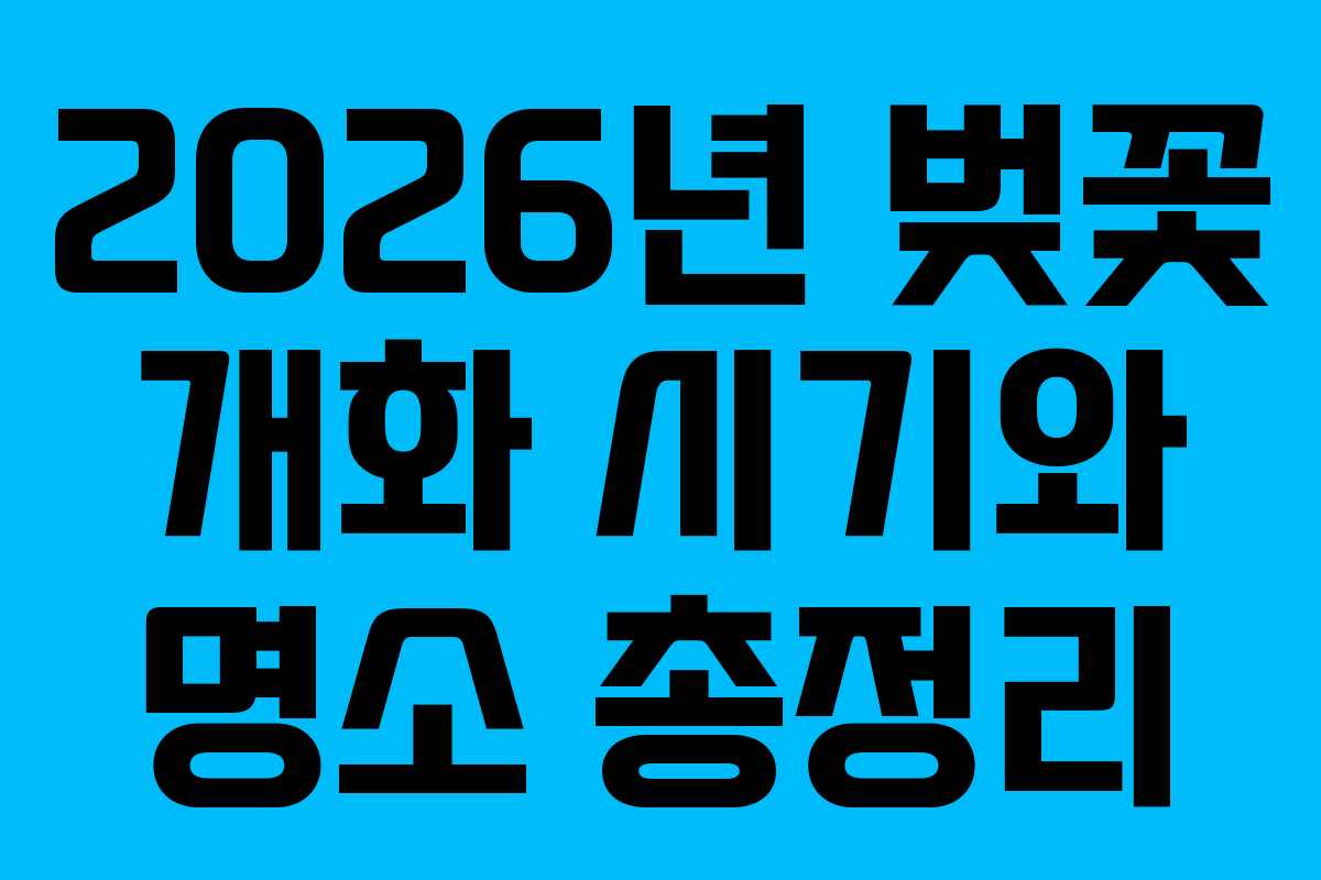 2026년 벚꽃 개화 시기와 명소 총정리