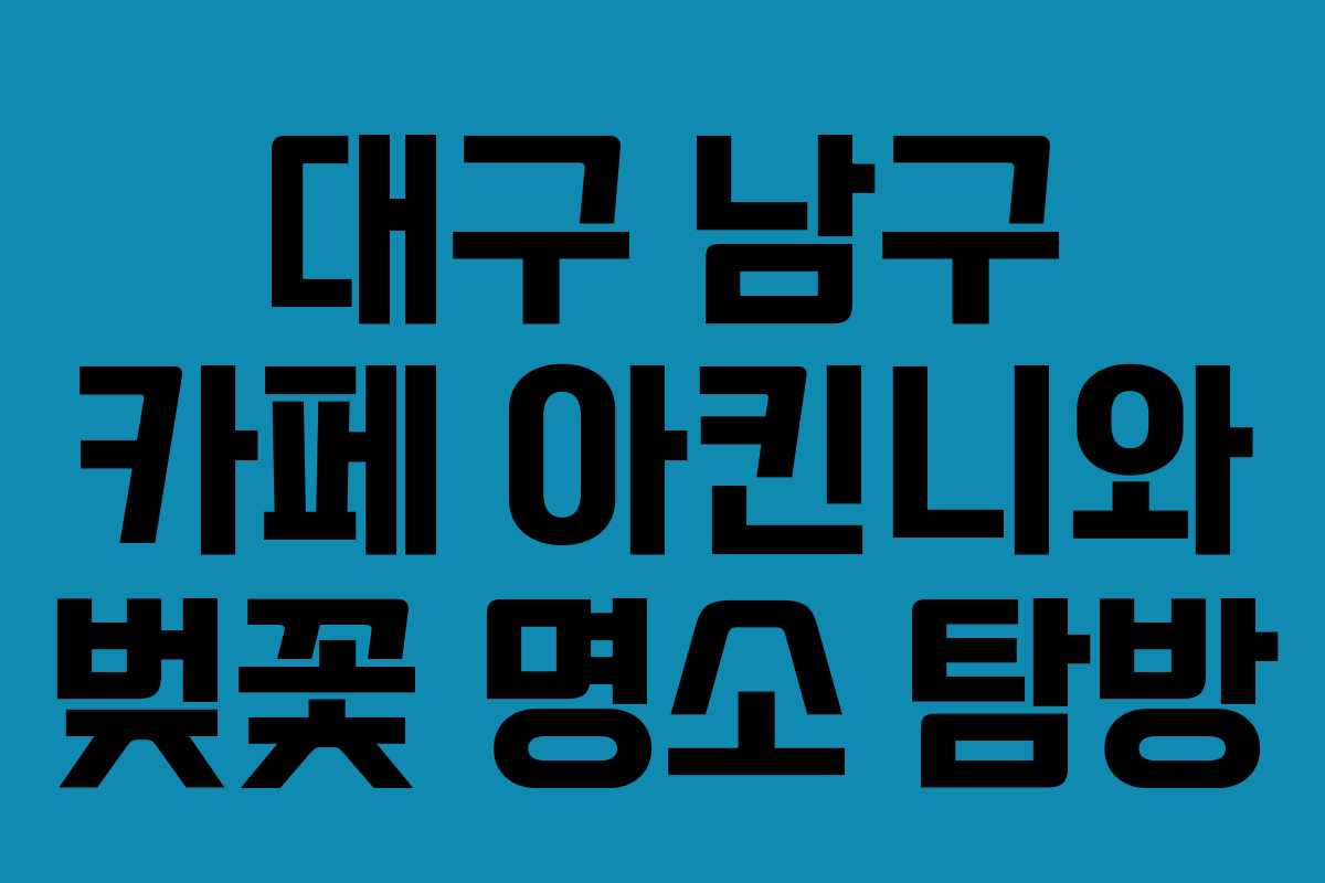 대구 남구 카페 아킨니와 벚꽃 명소 탐방