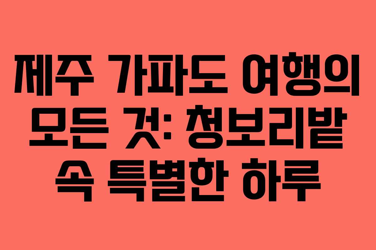 제주 가파도 여행의 모든 것: 청보리밭 속 특별한 하루