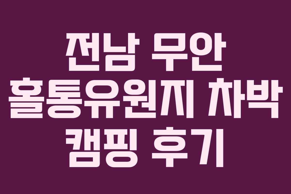 전남 무안 홀통유원지 차박 캠핑 후기