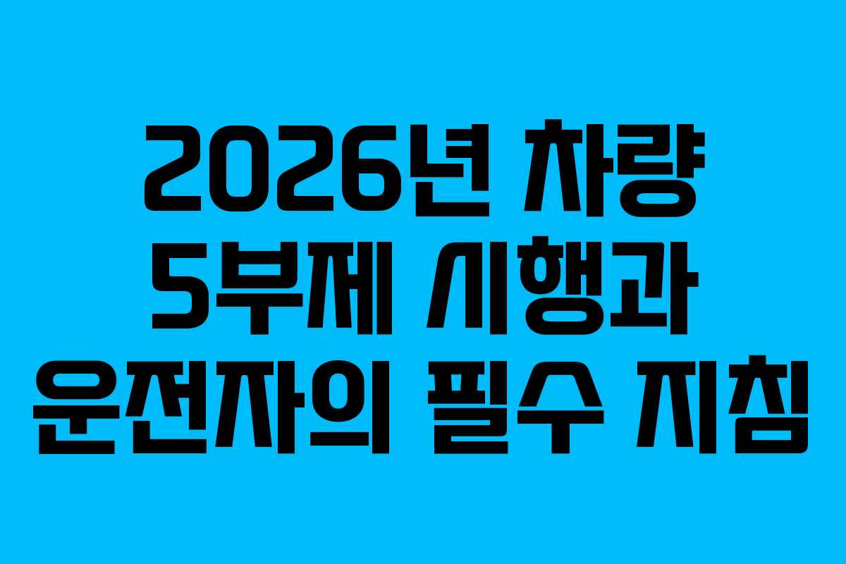 2026년 차량 5부제 시행과 운전자의 필수 지침