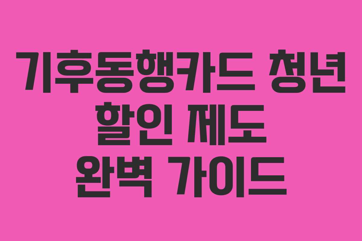 기후동행카드 청년 할인 제도 완벽 가이드