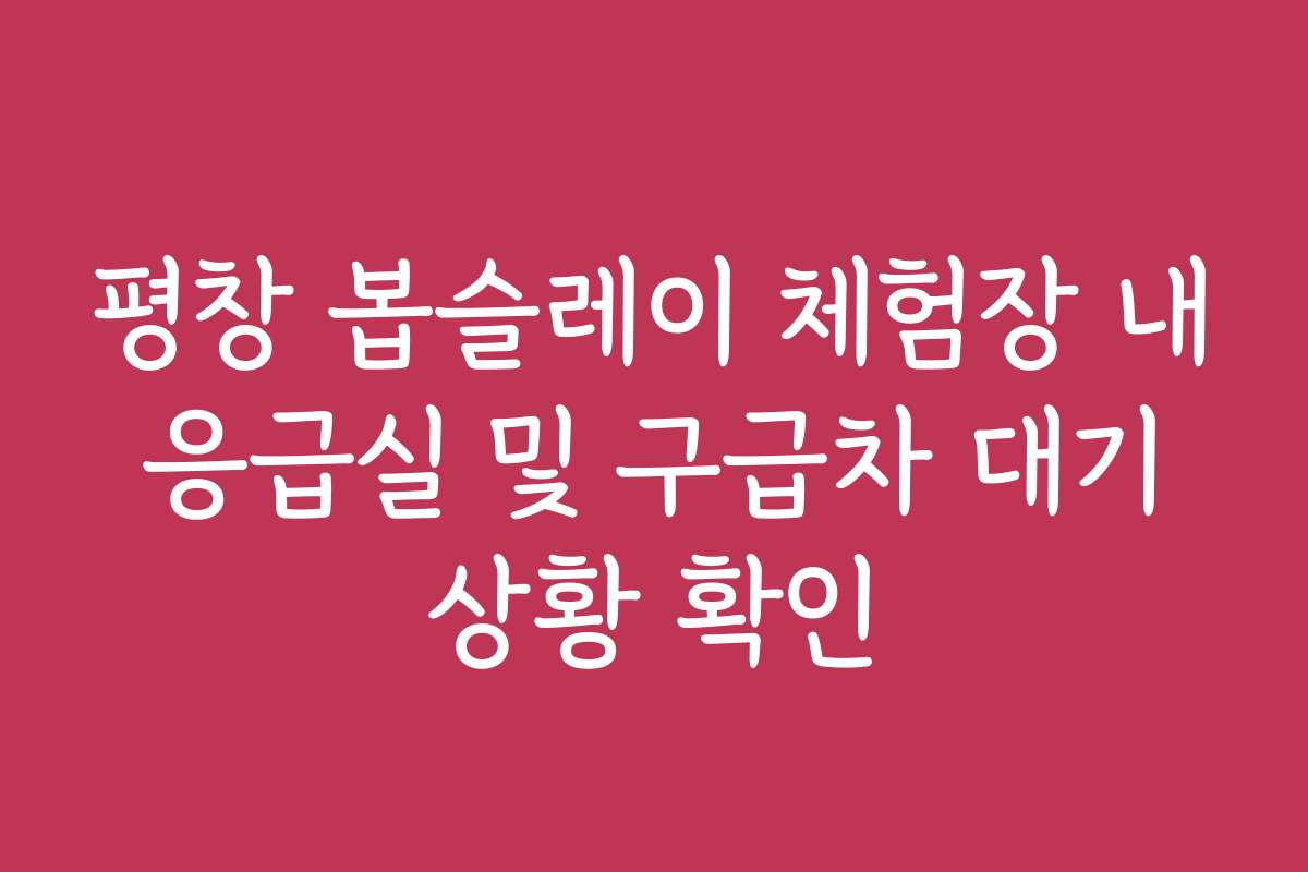 평창 봅슬레이 체험장 내 응급실 및 구급차 대기 상황 확인