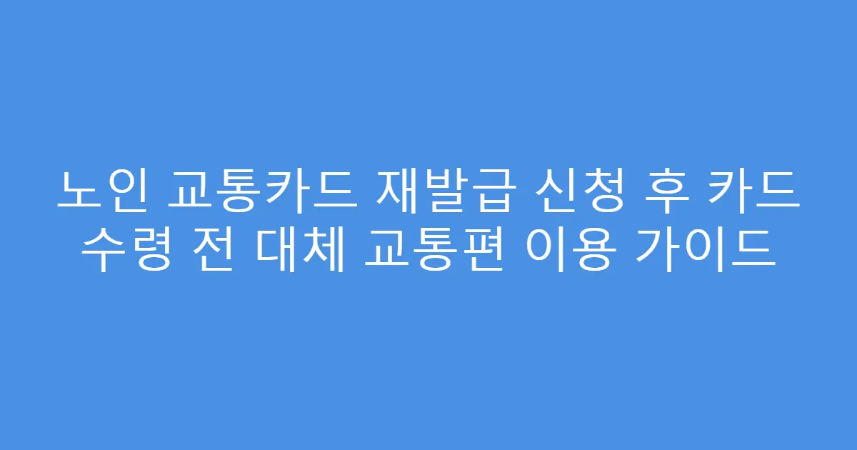 노인 교통카드 재발급 신청 후 카드 수령 전 대체 교통편 이용 가이드