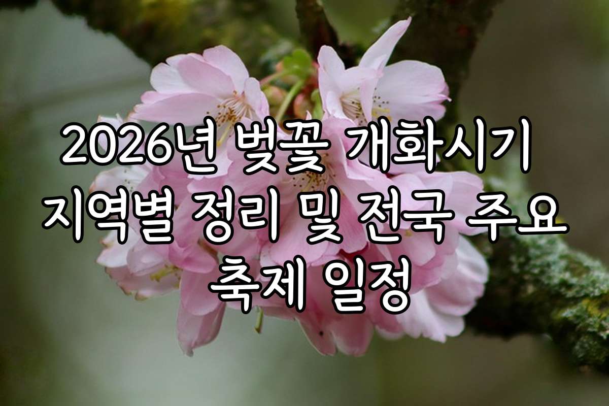 2026년 벚꽃 개화시기 지역별 정리 및 전국 주요 축제 일정